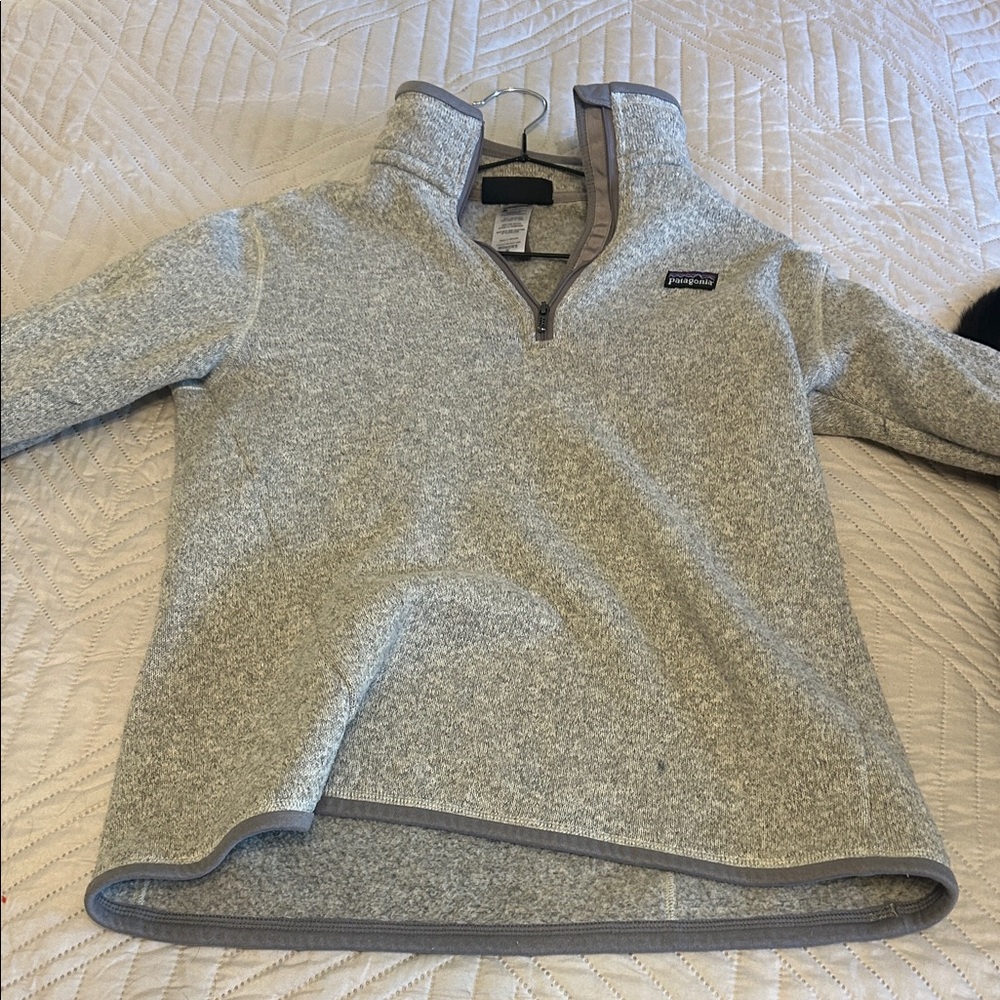 Patagonia Light Gray Fleece Pullover